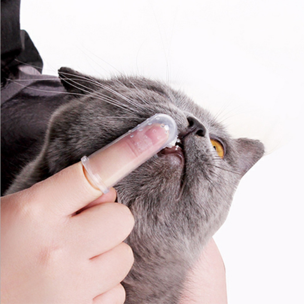 DOG'S DENTAL TOOTHBRUSH