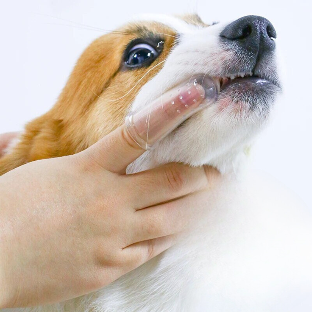 DOG'S DENTAL TOOTHBRUSH