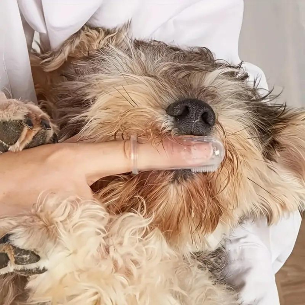 DOG'S DENTAL TOOTHBRUSH