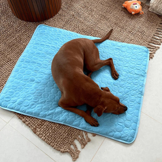 CooloMate™ | Dog Cooling Pad