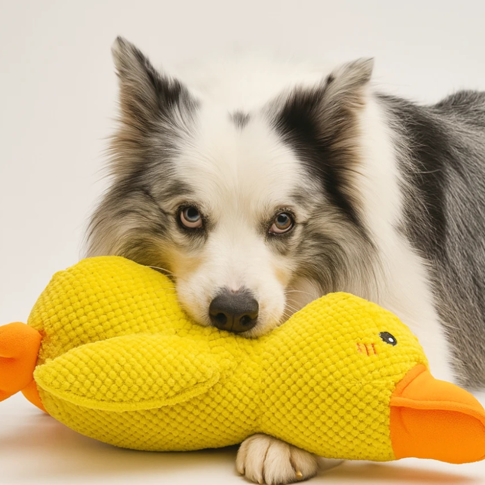 DuckieDo™ | Calming Duck Toy