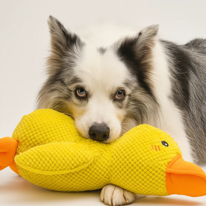 DuckieDo™ | Calming Duck Toy