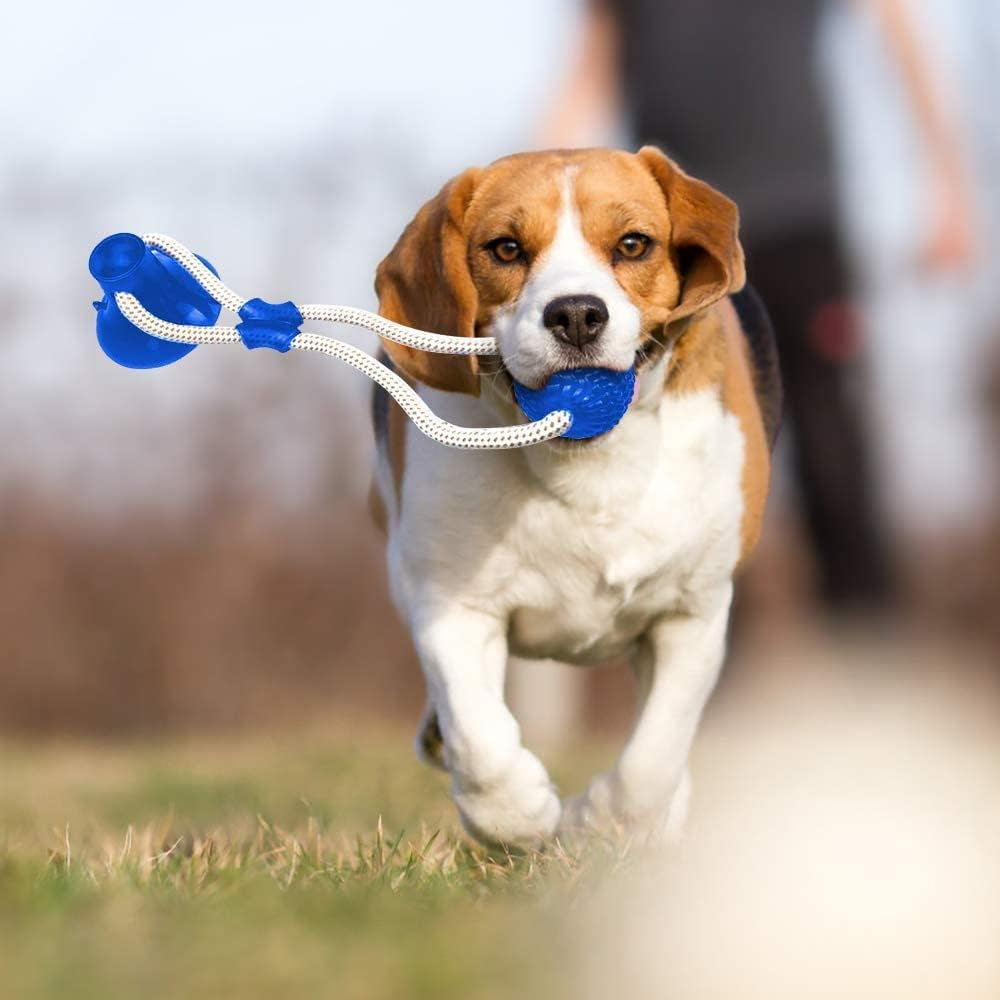 PAW MUNCHER TOY