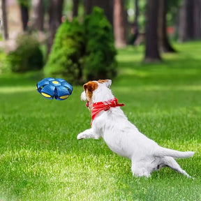 FLYING SAUCER BALL