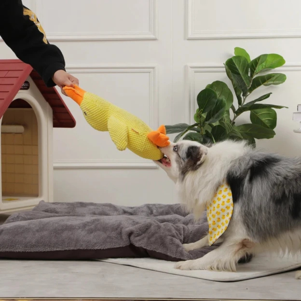 DuckieDo™ | Calming Duck Toy