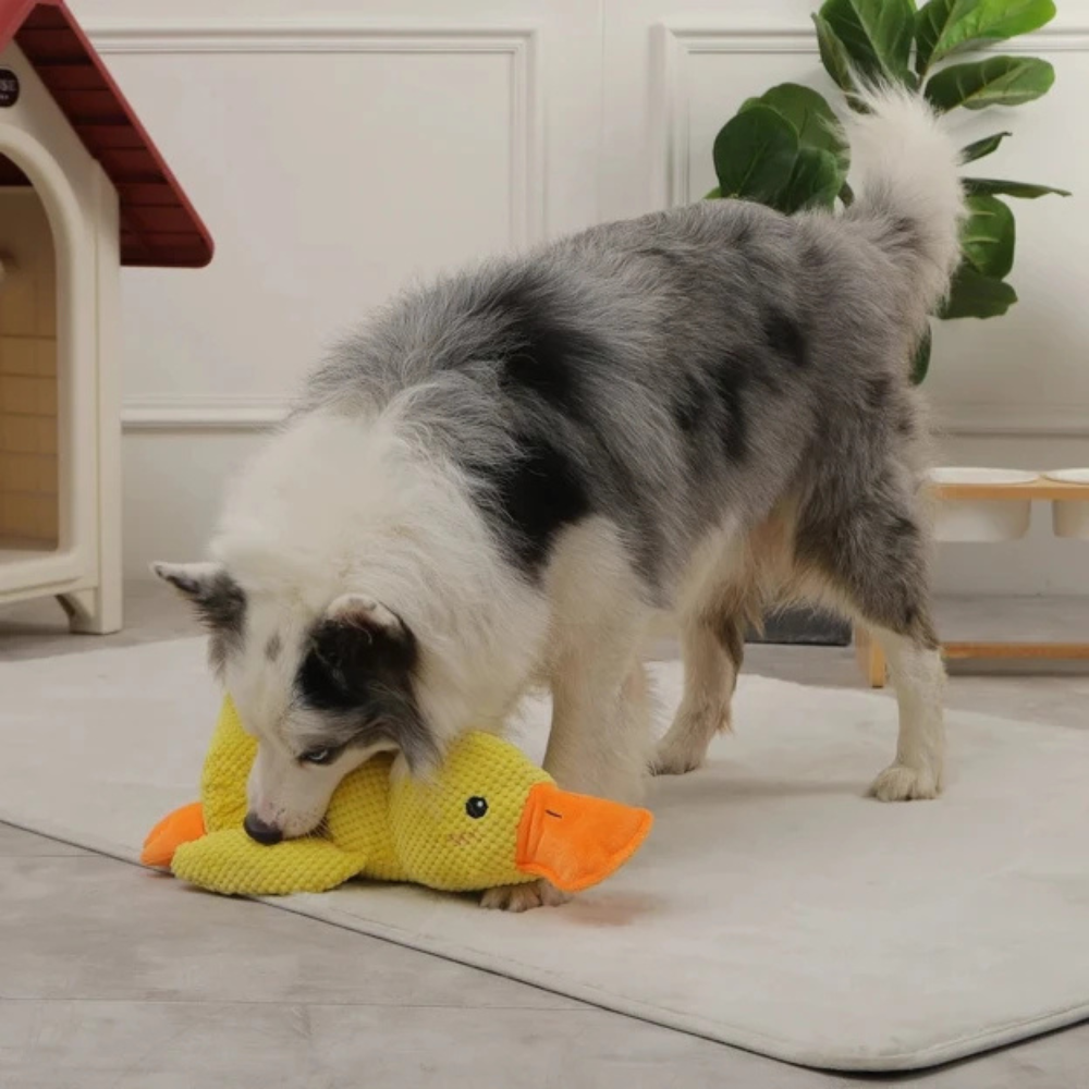 DuckieDo™ | Calming Duck Toy