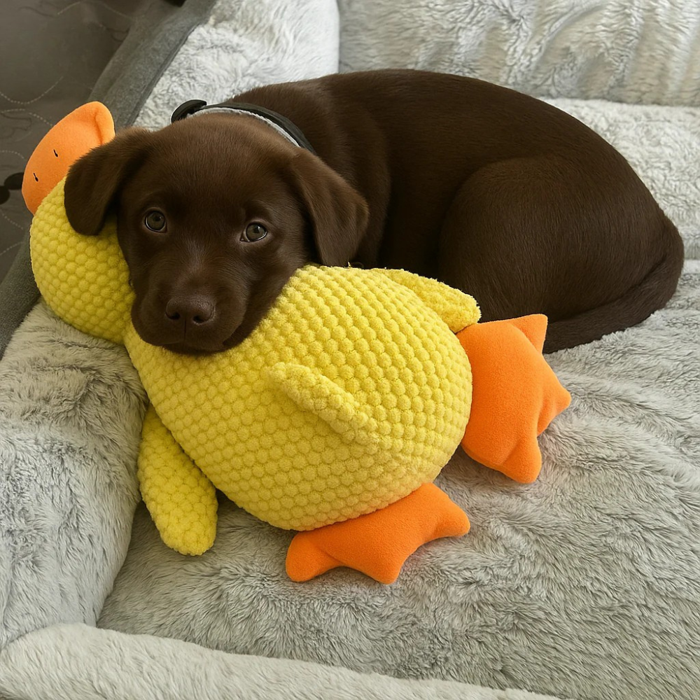DuckieDo™ | Calming Duck Toy