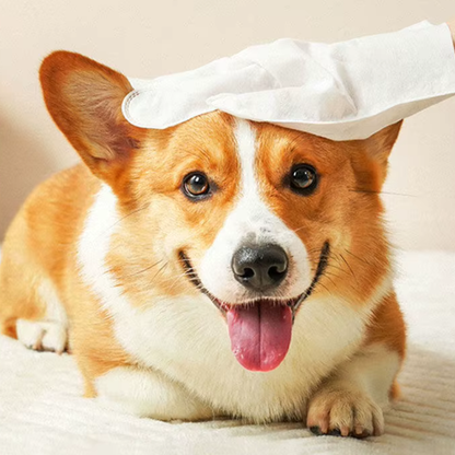 Cleany™ | Pet Glove Wipes