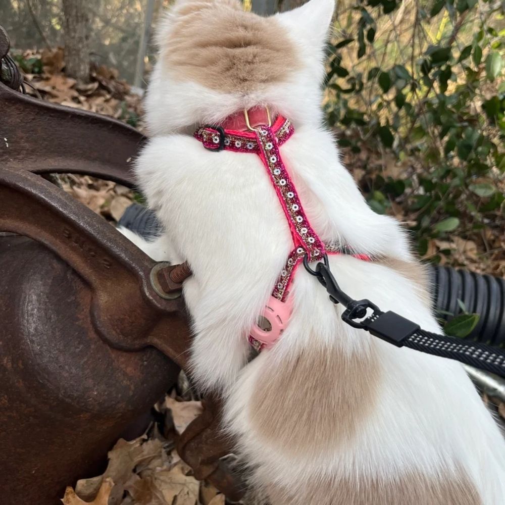 PET COLLAR AIRTAG HOLDER