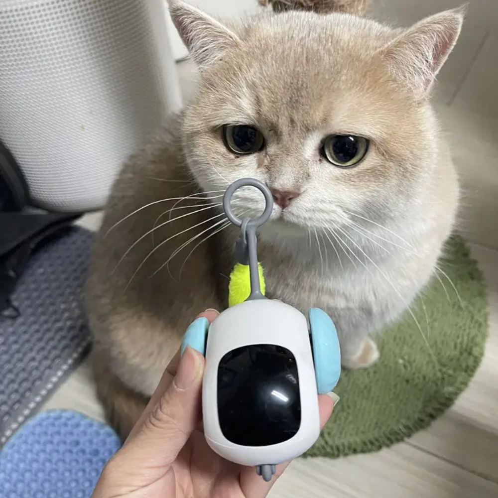 CAT HAPPINESS CAR TOY