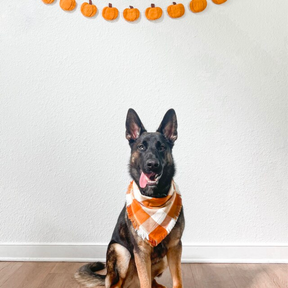 FALL DOG BANDANA