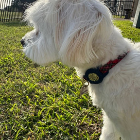 PET COLLAR AIRTAG HOLDER