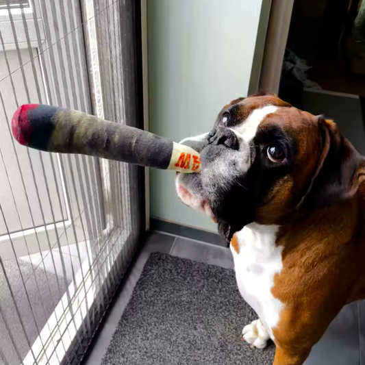 Pawgars™ | Cigar Chew Toy