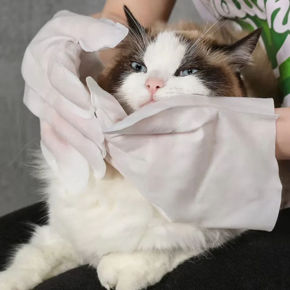 Cleany™ | Pet Glove Wipes