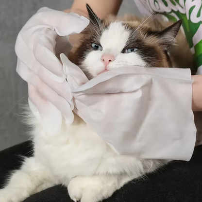 Cleany™ | Pet Glove Wipes