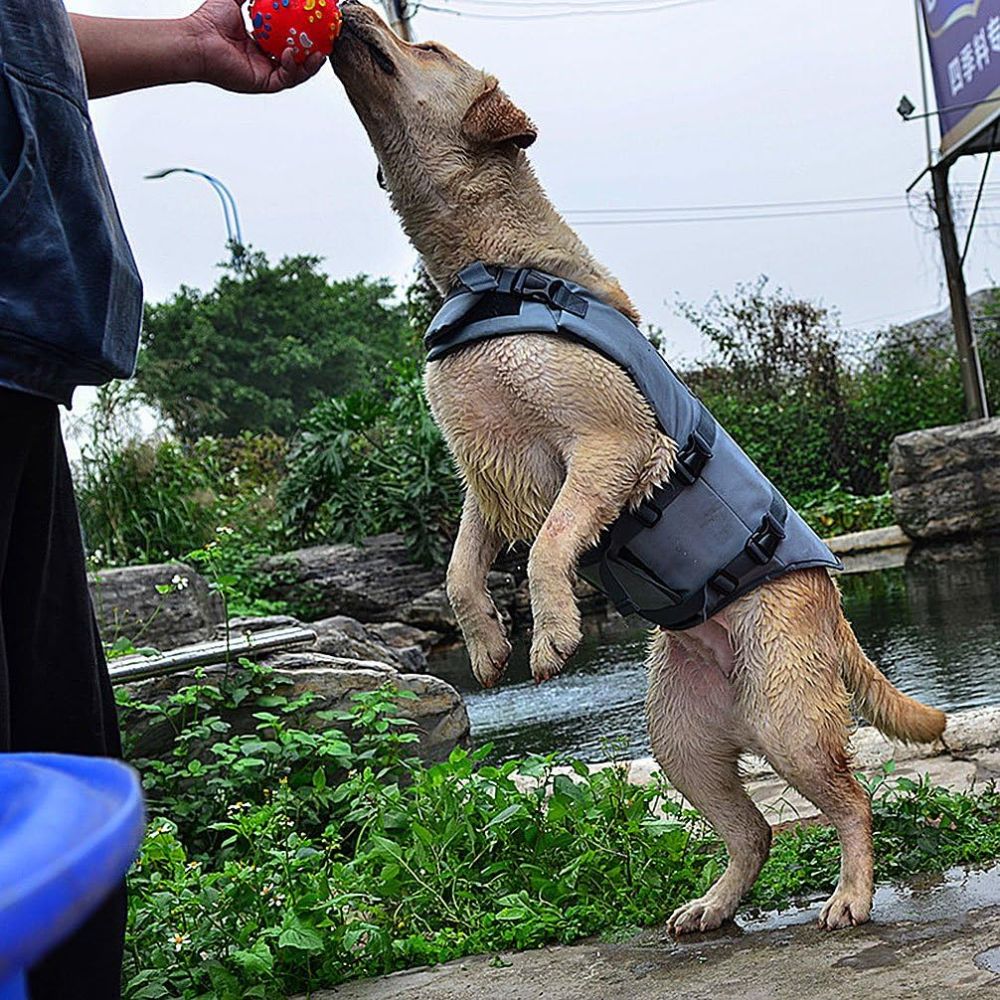 DOGGIE SHARK LIFE VEST