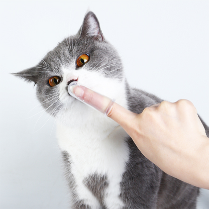 DOG'S DENTAL TOOTHBRUSH