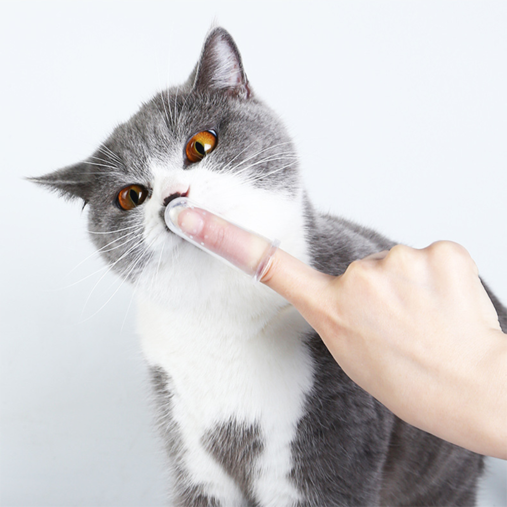 PET'S FINGER TOOTHBRUSH