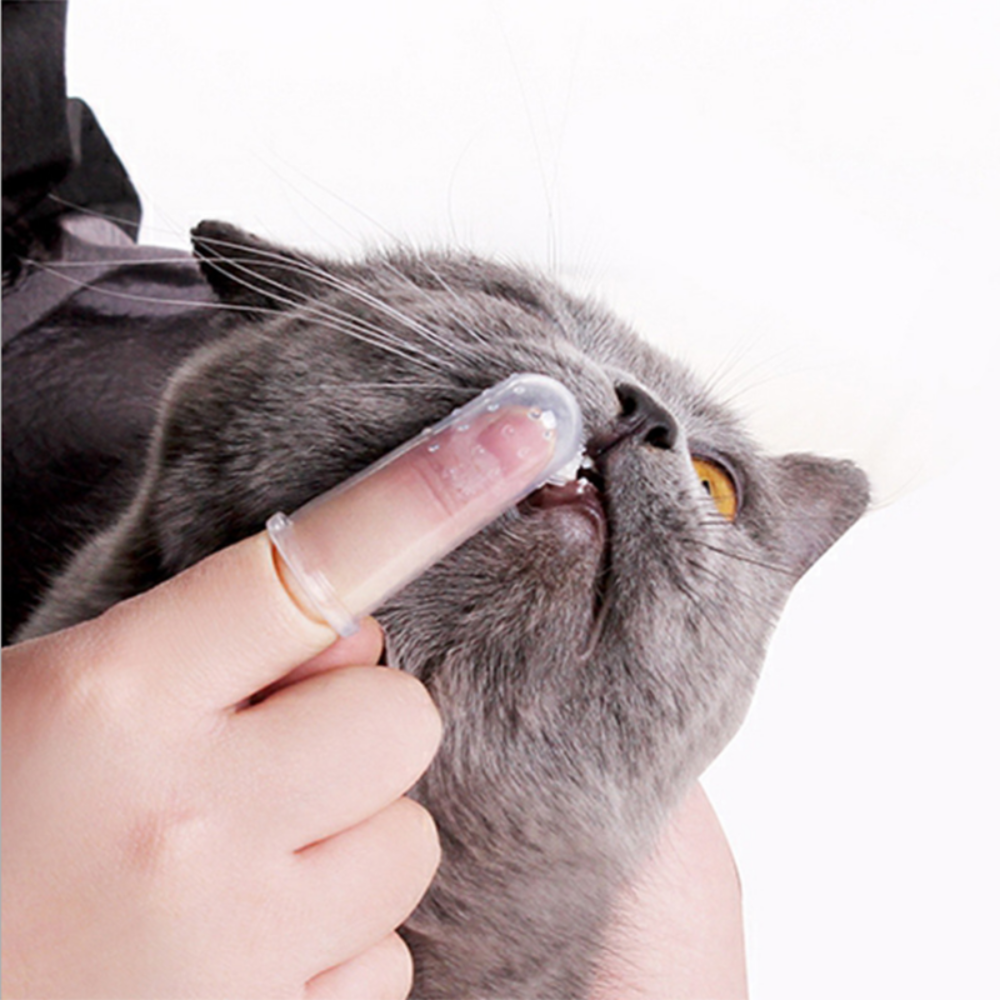 PET'S FINGER TOOTHBRUSH