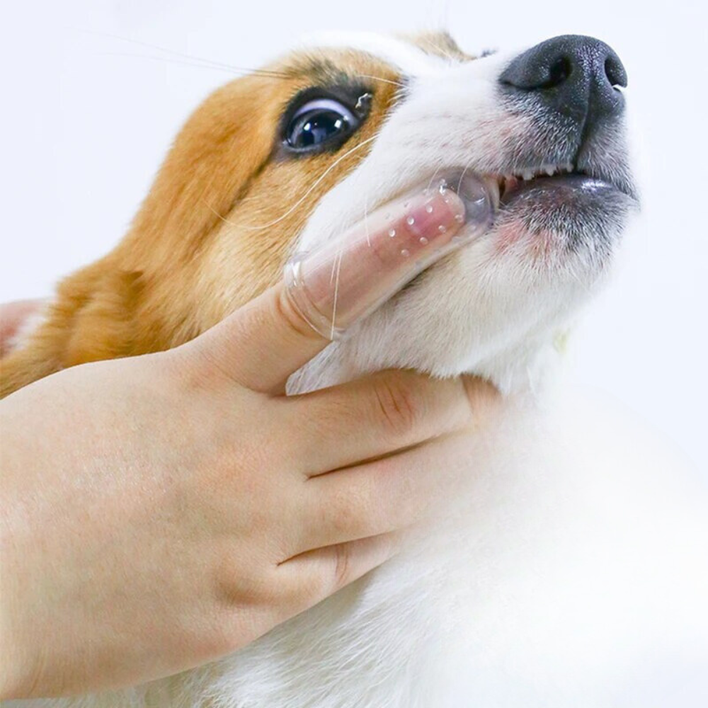 PET'S FINGER TOOTHBRUSH