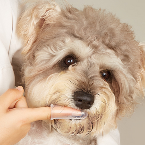 PET'S FINGER TOOTHBRUSH