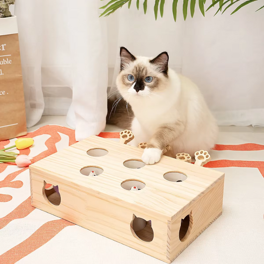 CAT PUNCH PLAY BOX