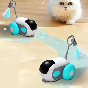 CAT HAPPINESS CAR TOY