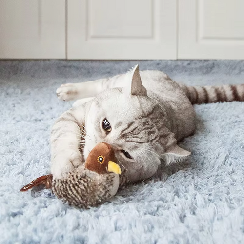 CAT CHIRPING BIRD TOY