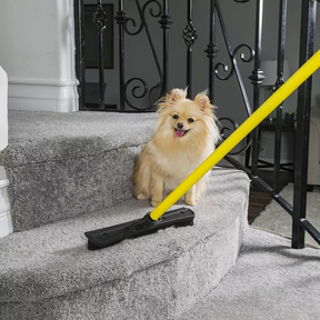 PET HAIR SWEEPER