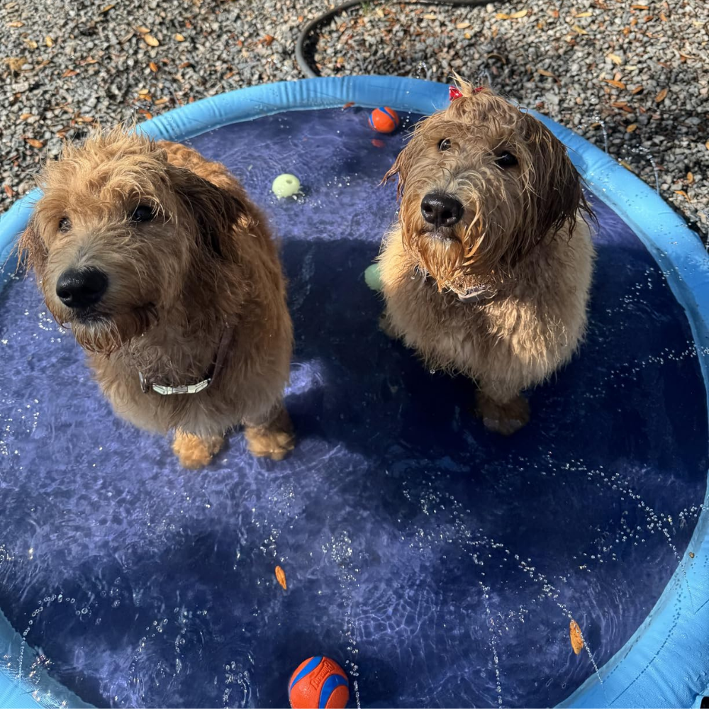 Splash™ | Sprinkler Pad