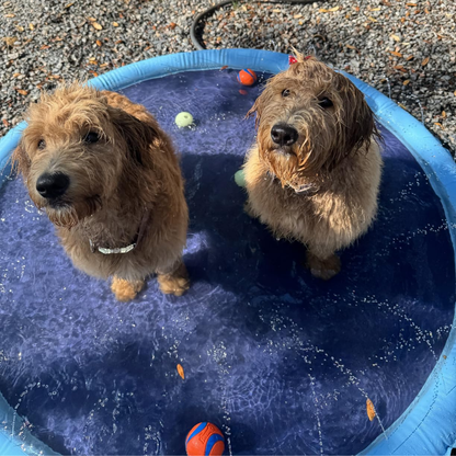 Splash™ | Sprinkler Pad