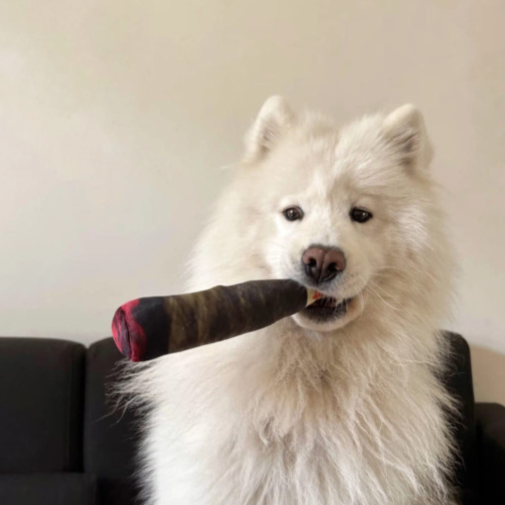 Pawgars™ | Cigar Chew Toy