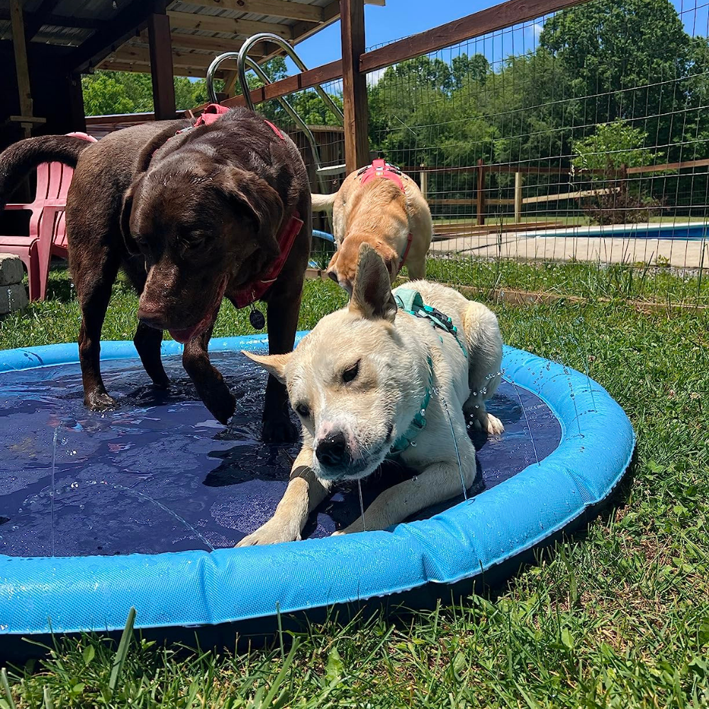 Splash™ | Sprinkler Pad