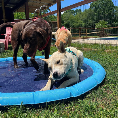 Splash™ | Sprinkler Pad
