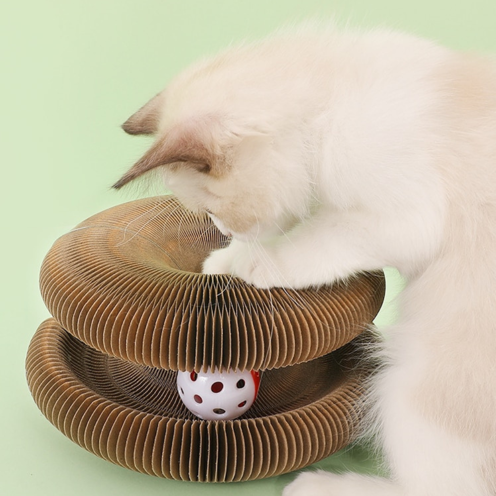 CAT DONUT SCRATCHER