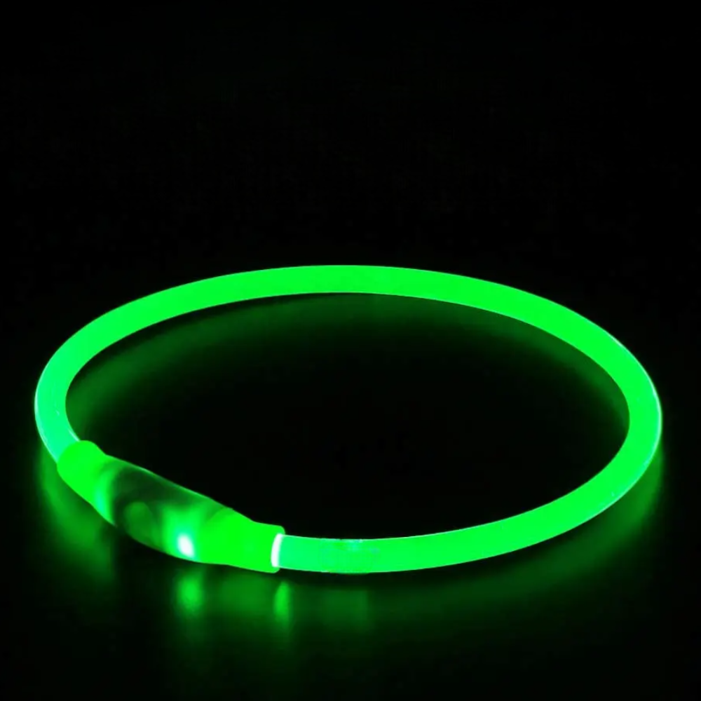 GLOWING DOG COLLAR