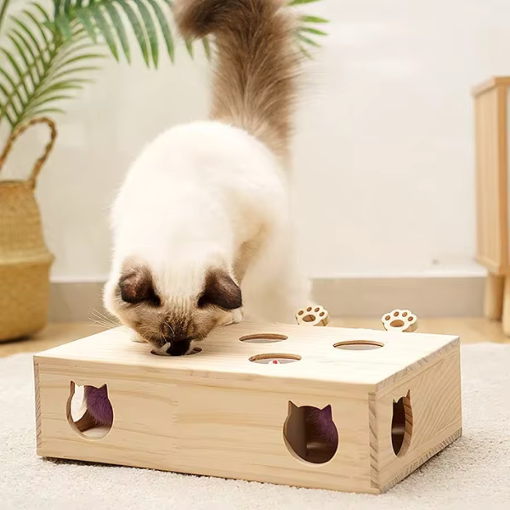 CAT PUNCH PLAY BOX