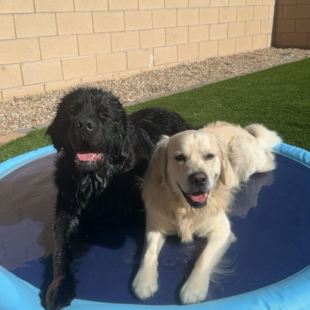 Splash™ | Sprinkler Pad