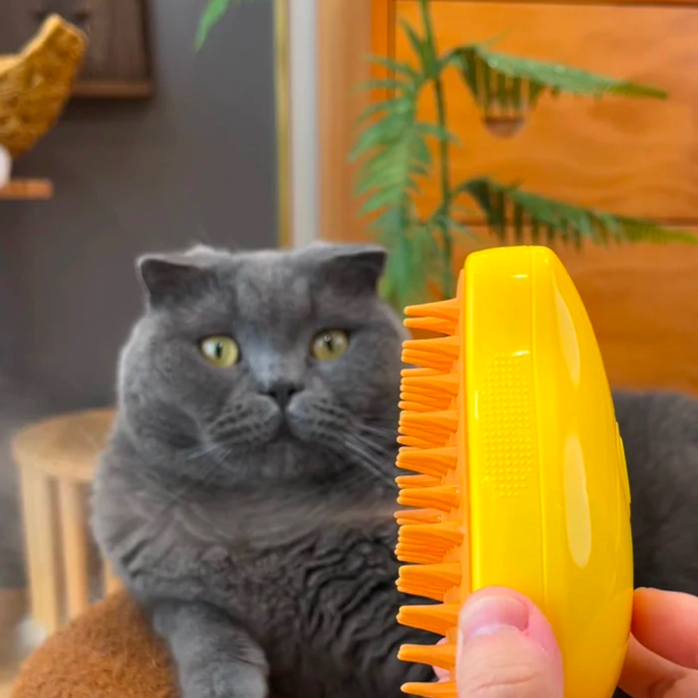 STEAMY CAT BRUSH