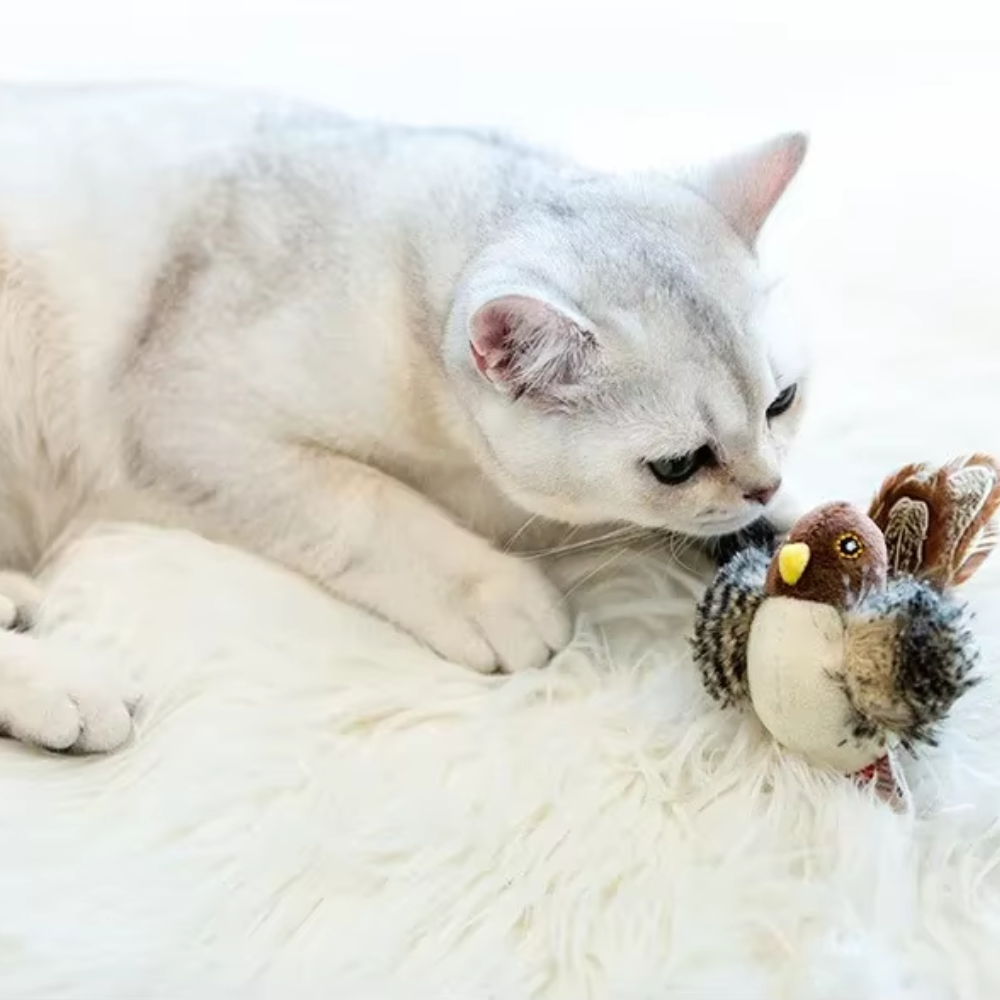 CAT CHIRPING BIRD TOY