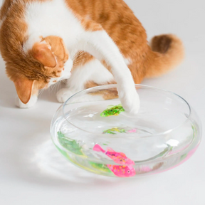 INTERACTIVE FISH TOY