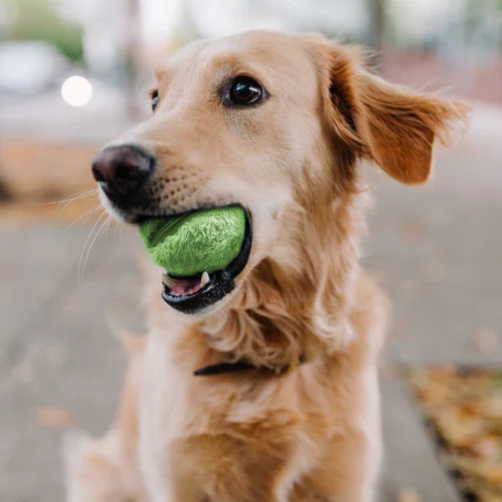 ACTIVE ROLLING BALL (4 Pieces Cover)