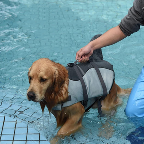 DOGGIE SHARK LIFE VEST