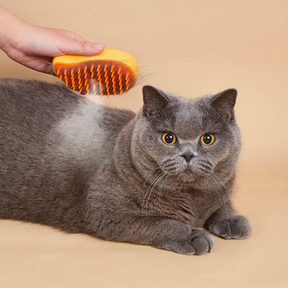 STEAMY CAT BRUSH