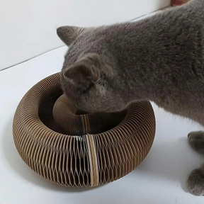 CAT DONUT SCRATCHER