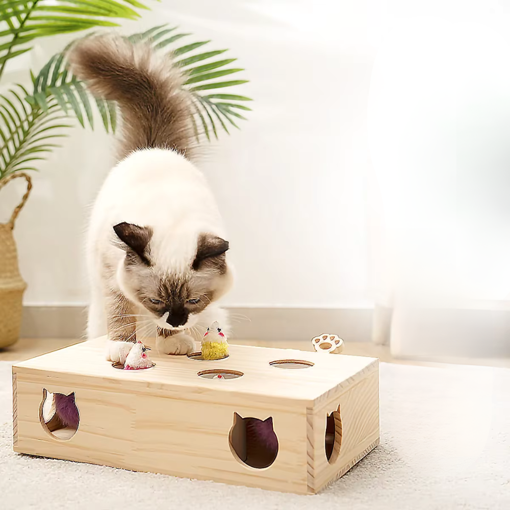 CAT PUNCH PLAY BOX
