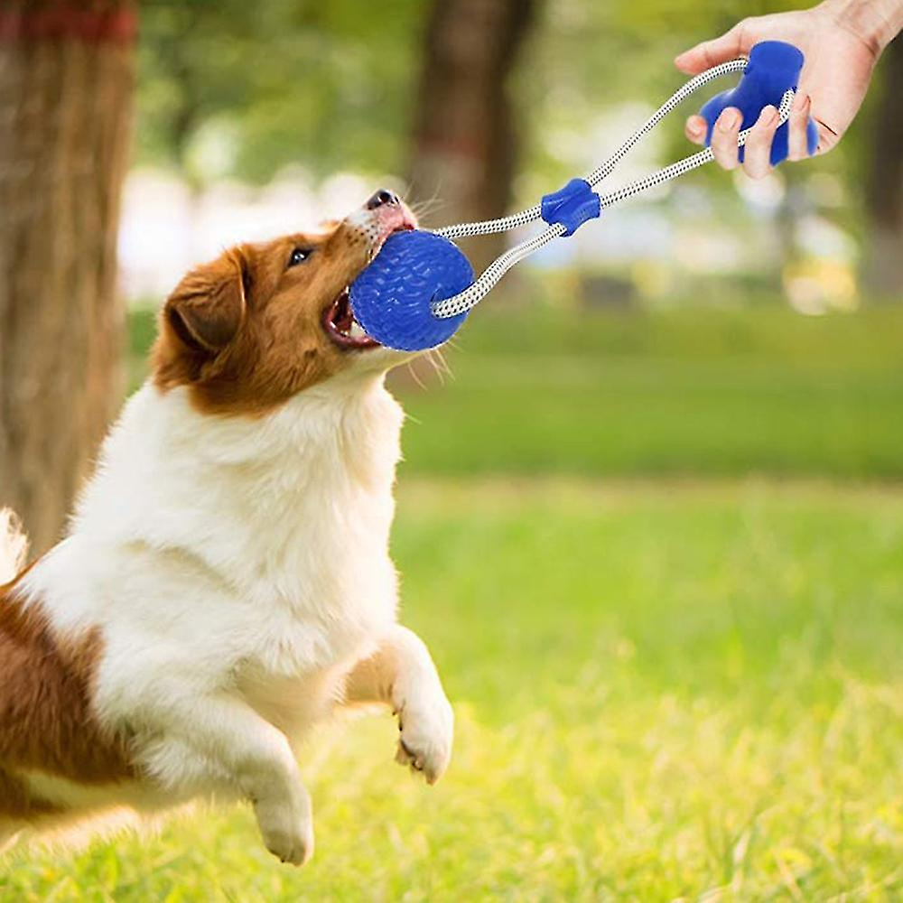 PAW MUNCHER TOY