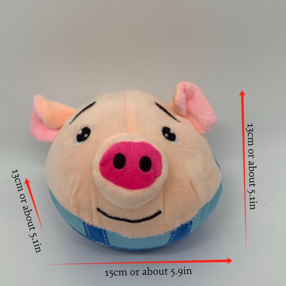 BOUNCING PIGGY TOY